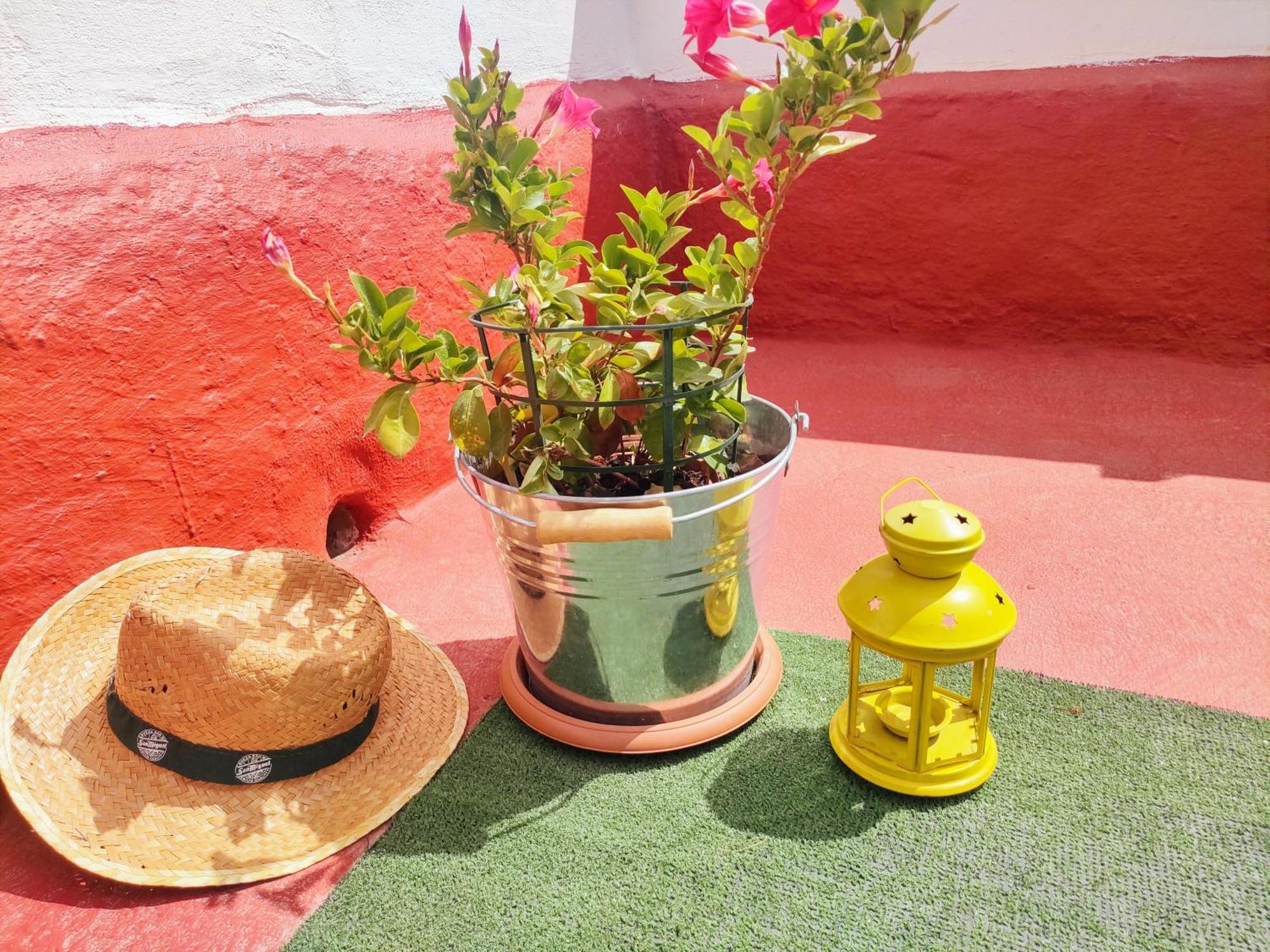Casa El Escano Granadilla De Abona Exteriér fotografie