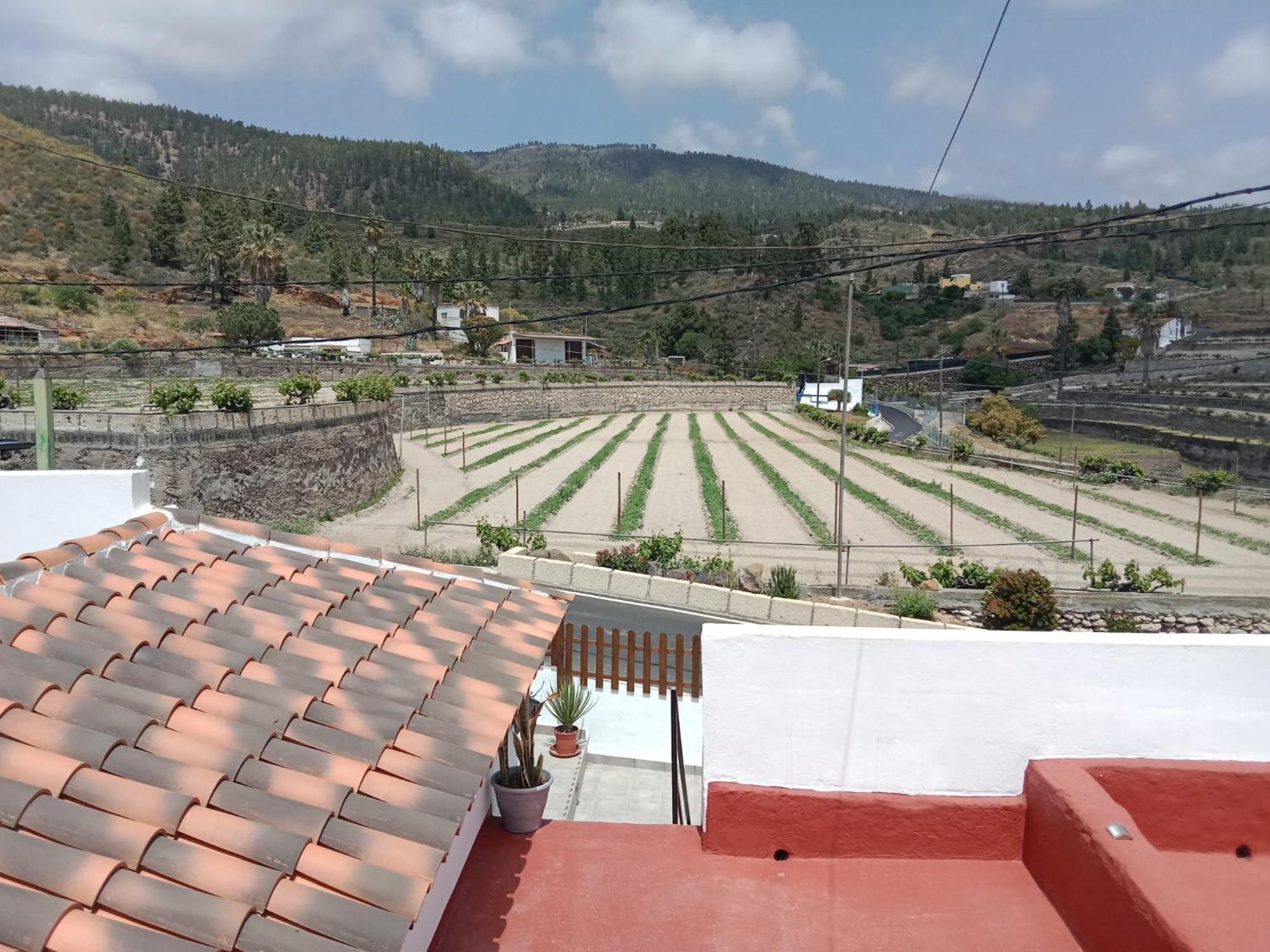 Casa El Escano Granadilla De Abona Exteriér fotografie
